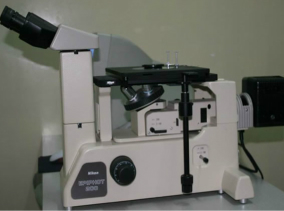 Nikon microscope