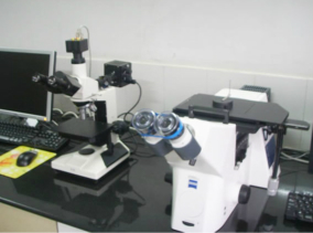 elemental analyser